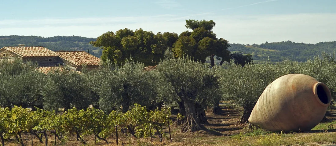 Les savoirs-faire de Béthune et Montélimar