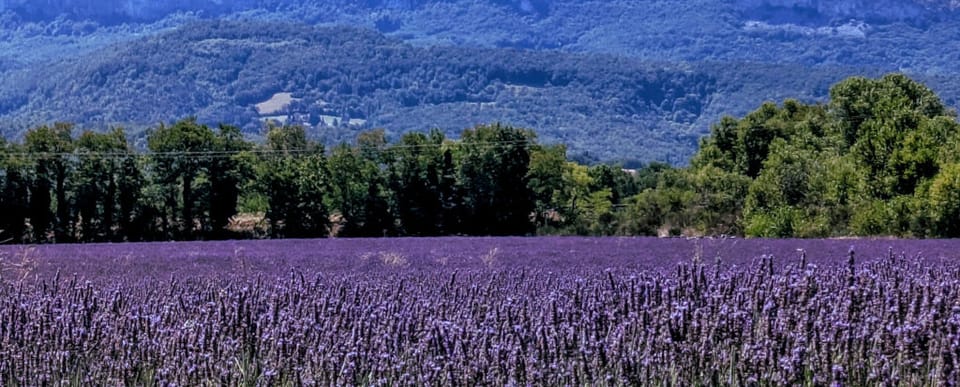 Juillet, vacances et rencontres