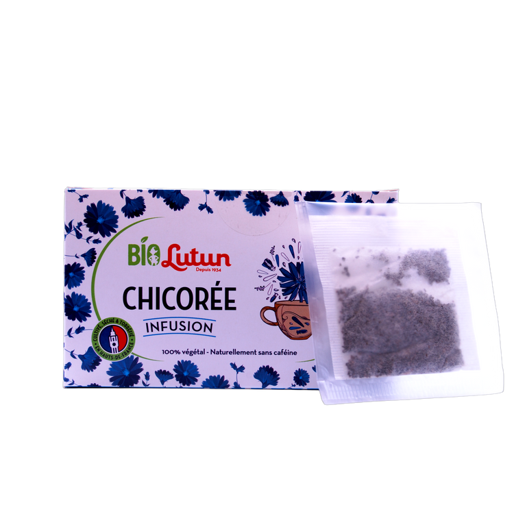 Chicorée