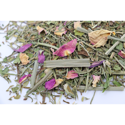 Tisane Boost'Immunité Bio