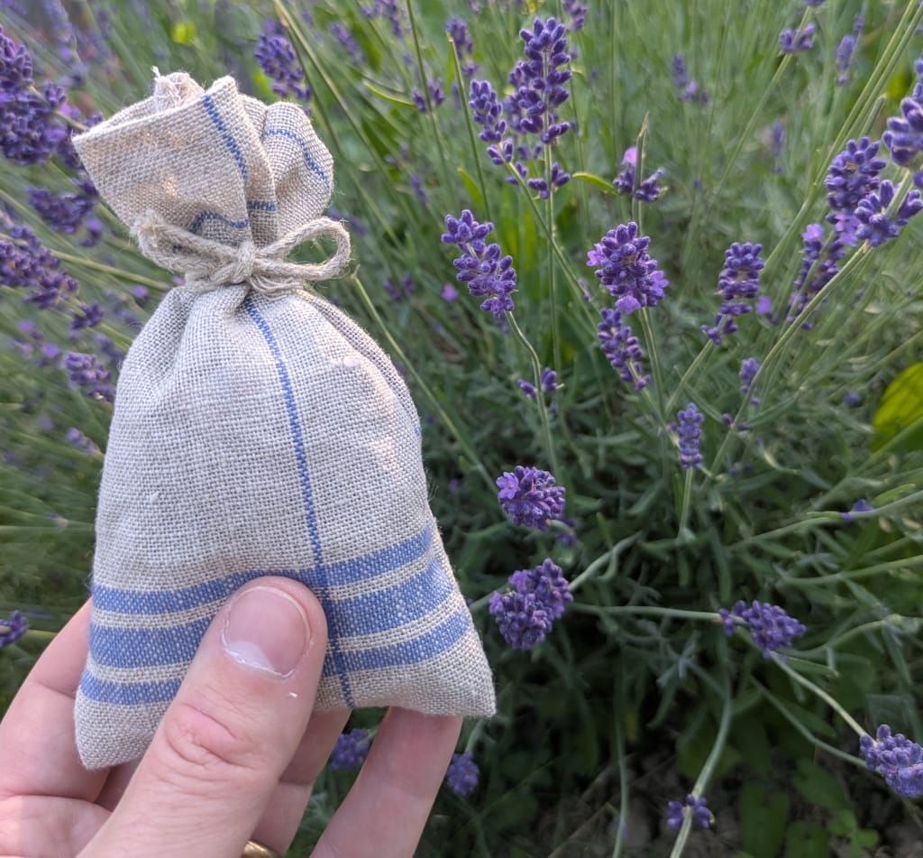 Échantillons sachets de lavande en lin