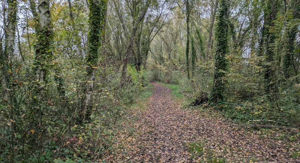 Balade au Marais d'Annezin et Terril 28 - 8.5km