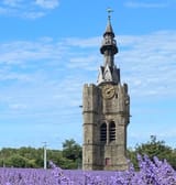 Bélimar - Vincent